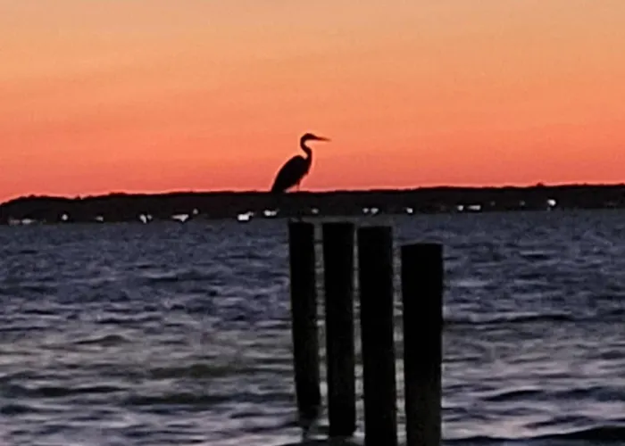 Poolside Bayfront Sunset Views 2 Parking Spots Midtown Oc * Ocean City